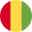  Guinea flag