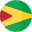 Guyana flag